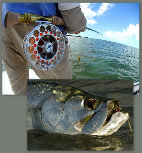 hatch7reel