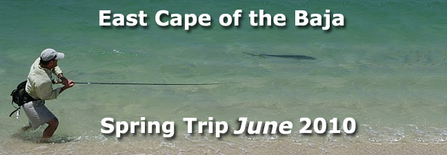 baja_trip_new.jpg